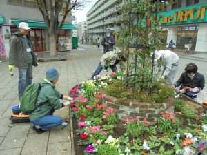 鮮やかな色の花を植えていきます