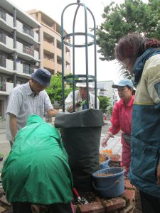 タワーの中に保水の為のコケを入れる