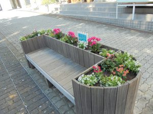植え替えた花壇ベンチ