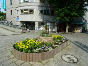 5月に「太陽の子供たち」花壇を作りました