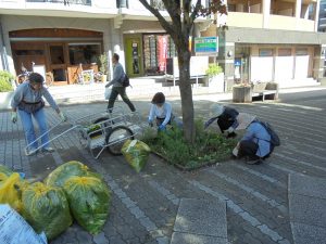 街路樹花壇の剪定