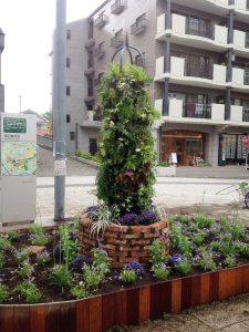 涼しげな花壇