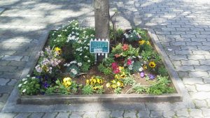 いろいろな花の咲く街路樹花壇