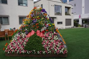 ハウスクエアで展示されていたお花のピラミッド
