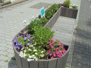 ベンチ花壇も夏向きに