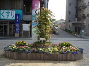 完成したシンボル花壇
