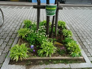 ルエツ前花壇に駐輪禁止の掲示をしました
