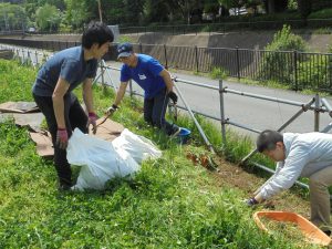 トマト苗床を作る都市緑化研の学生