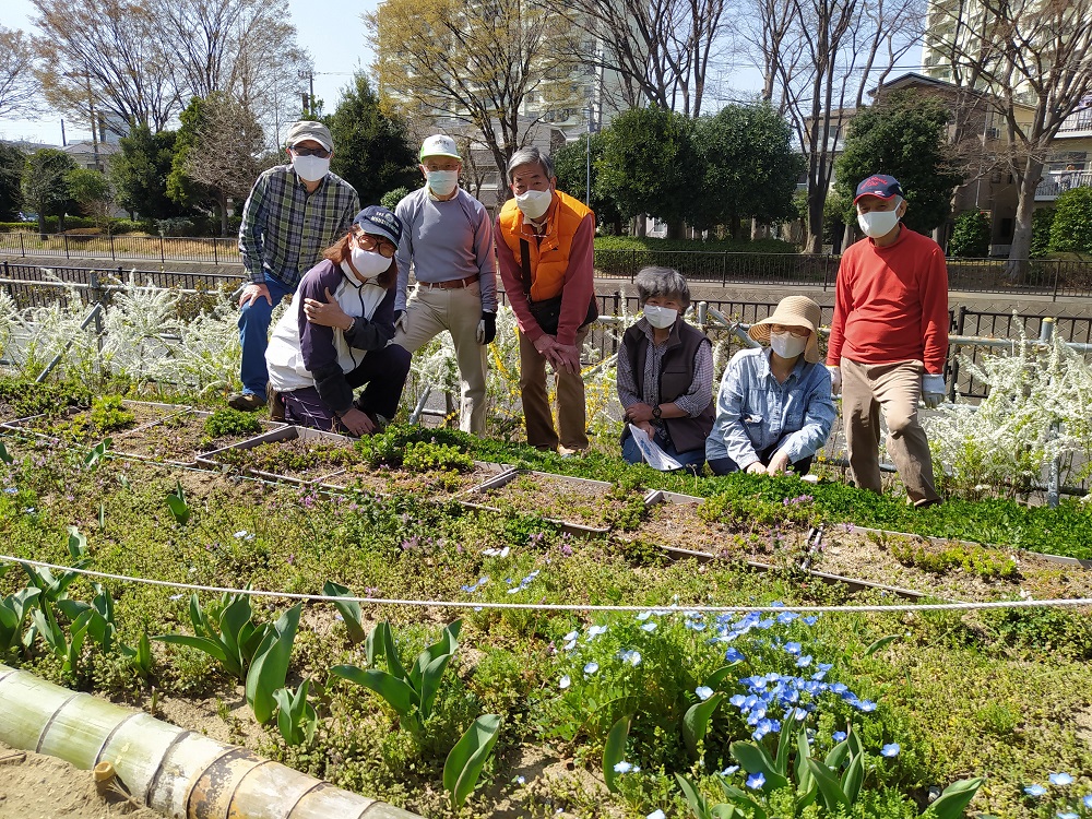 Hrg 21年3月17日 水 春の花が一杯 見切りの竹交換作業 ぐるっと緑道