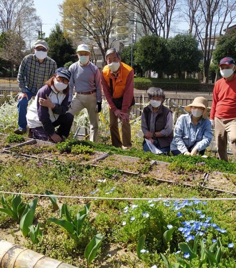【HRG】2021年3月17日（水）春の花が一杯、見切りの竹交換作業