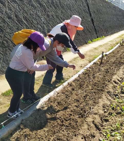 【HRG】2021年11月7日（土）子供も参加し菜の花の種まき