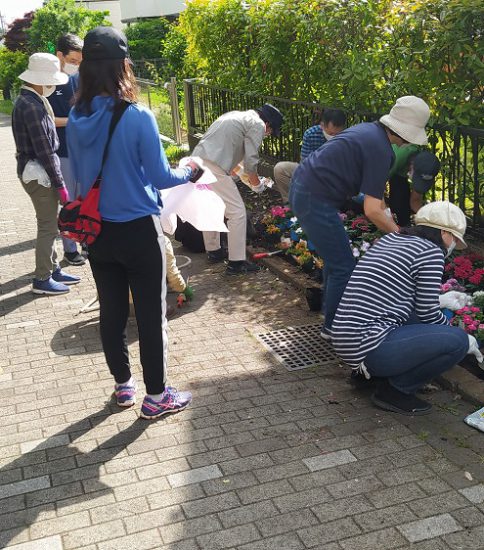 【遊歩道】2022年5月22日　住民が中川西遊歩道に華やかな花壇作り