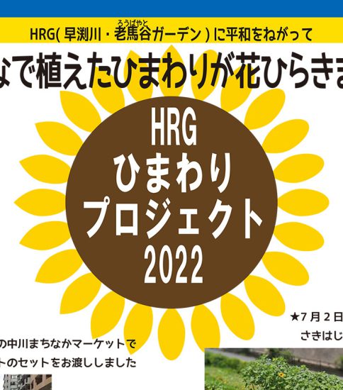 【HRG】2022年7月17日（日）「ワイワイまつり」でひまわり募金を実施