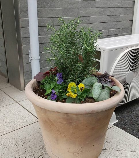 自宅前に「緑のまち　寄せ植え鉢」を設置
