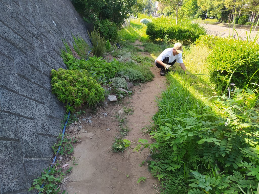 草刈シーズン到来♪値下げ交渉可能企画！人気のイセキ 刈払い機 CH260KH　karスタート搭載 草刈機 刈払機　草刈り機 製品詳細｜手押し草刈機｜株式会社ISEKIアグリ