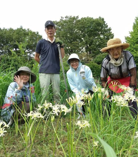 【HRG】2023年9月20日　草刈りで彼岸花を救出