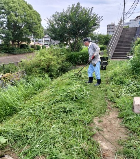 【HRG】早朝に草刈り機で草刈り