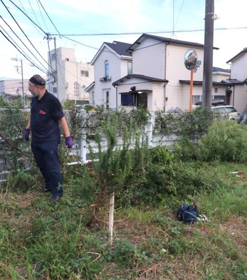 【HRG】夏休み中の剪定作業