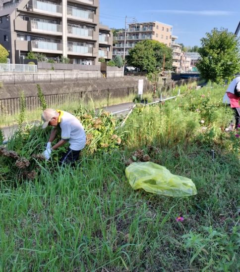 【HRG】アジサイ等の剪定作業