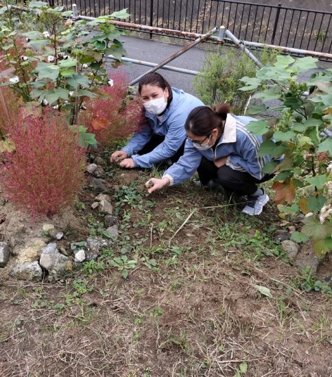 【HRG】ベトナム人女性も参加し、秋の整備