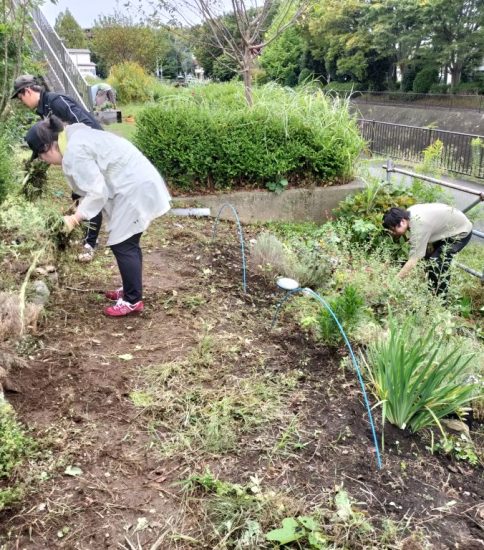 【HRG】秋の手入れと多年草植え付け