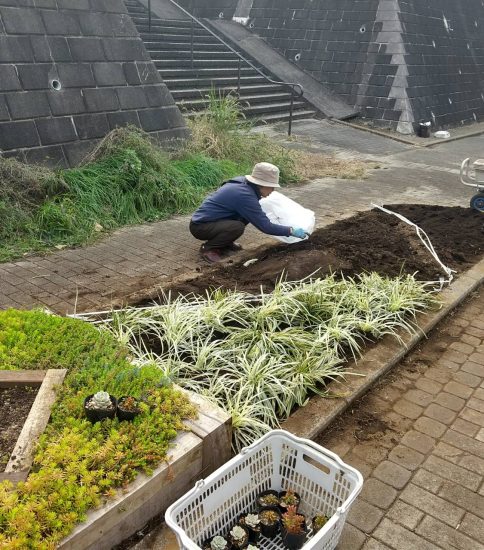 【遊歩道】第2地区花壇のデザイン変更で植替え実施