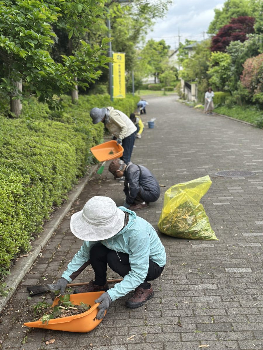 【遊歩道】烏山公園沿いの遊歩道美化活動