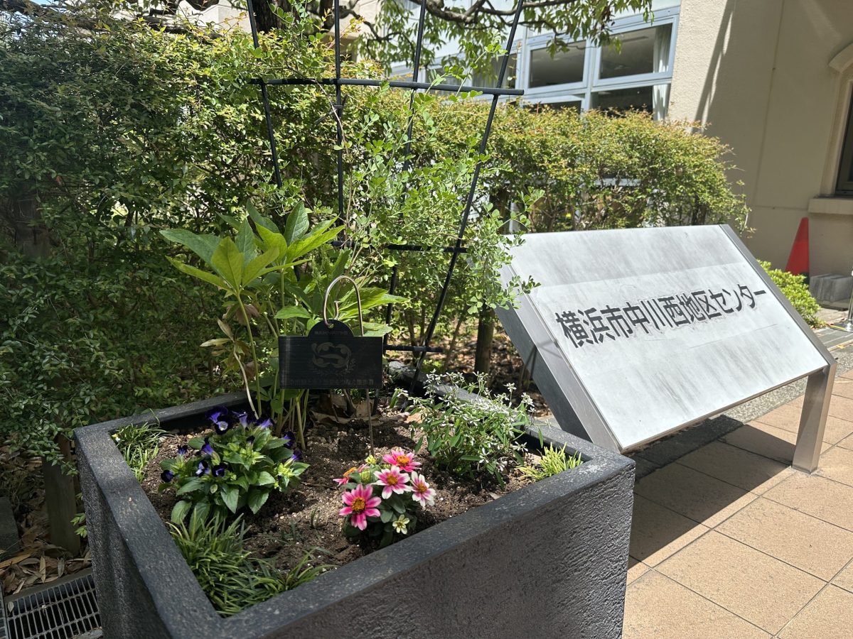 【遊歩道】夏花へ植替え