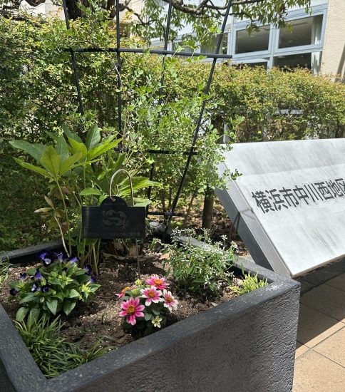 【遊歩道】夏花へ植替え