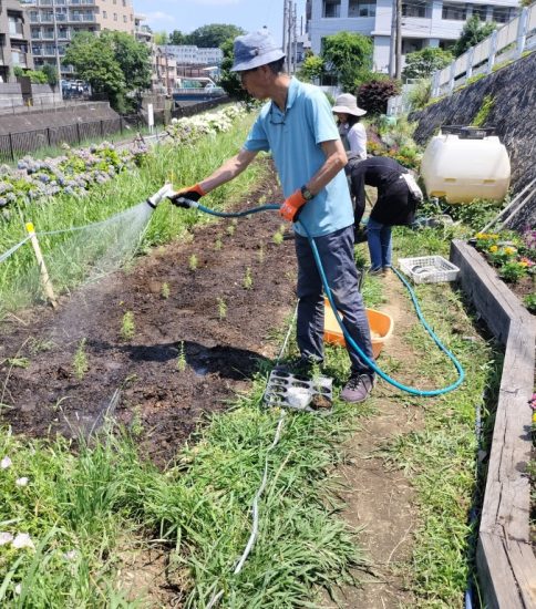 【HRG】6/18（水）コキアの植込み