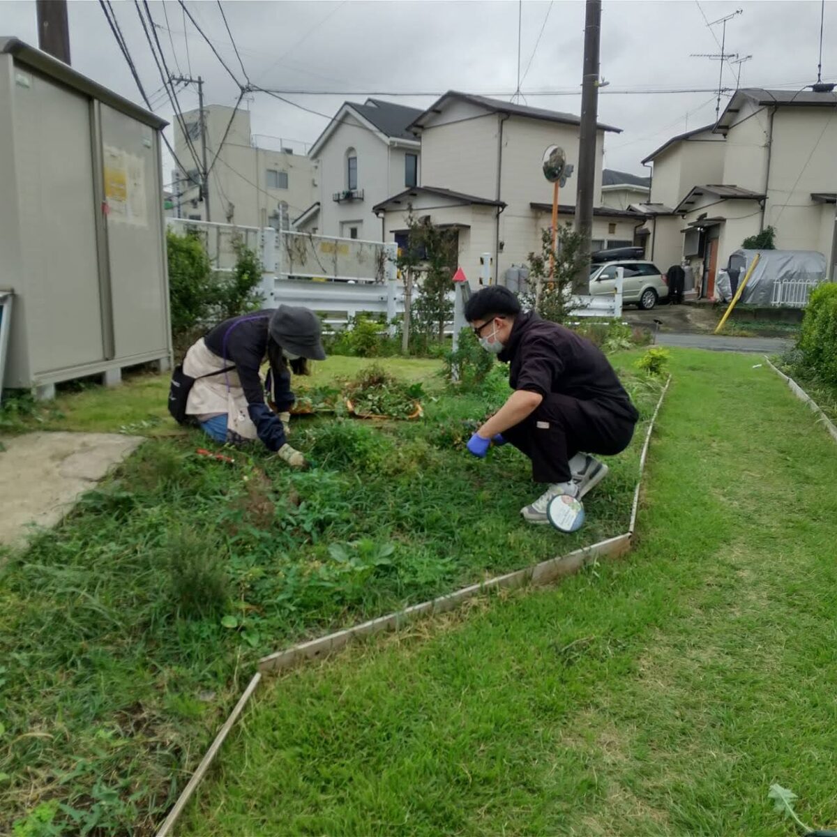 【HRG】10/15（水）コキア祭準備大詰め