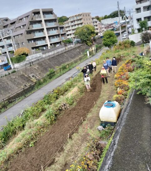 【HRG】11/1（土）ネモフィラの種まき準備