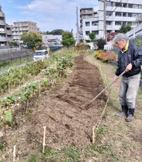 【HRG】11/8（土）ネモフィラの種まき