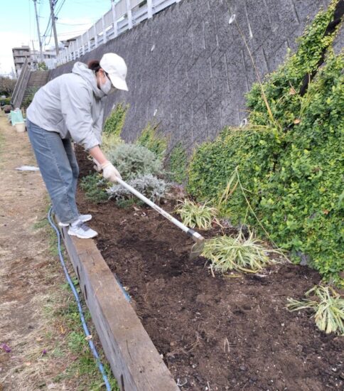 【HRG】11/19（水）擁壁花壇の土作り