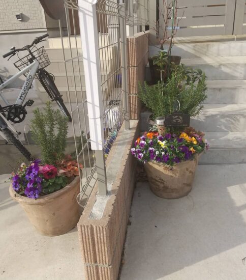 【自宅緑化】冬花のパンジーとビオラに植え替え