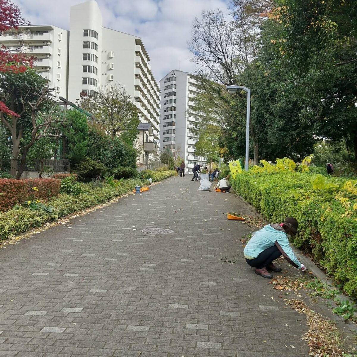 【遊歩道】中川西遊歩道第一地区