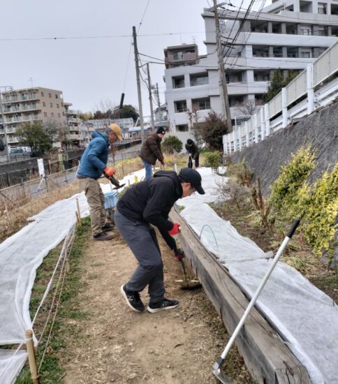 【HRG】擁壁花壇の枕木保全と剪定 
